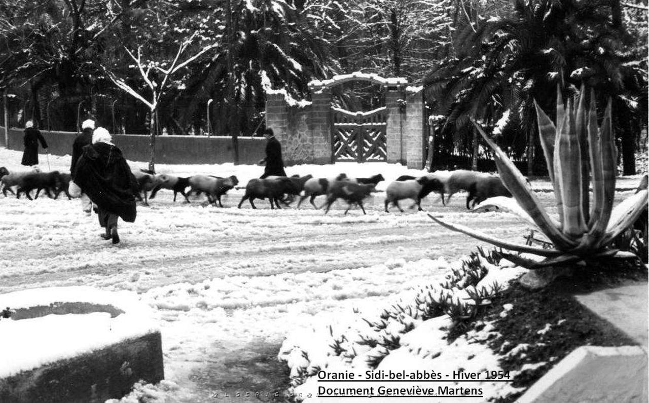 Sidi bel abbes hiver 1954  (7) de Genevieve Martens.jpg